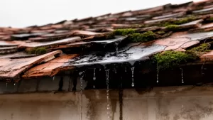 Remont dachu cena za m2